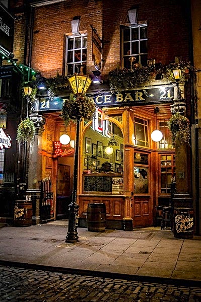 Palace Bar, Dublin, mentioned late in the novel.