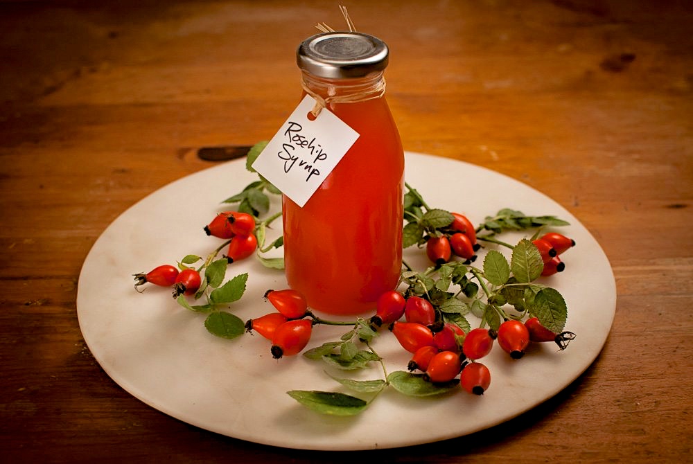 A syrup made from rosehips is supposed to keep people from getting colds during the winter.