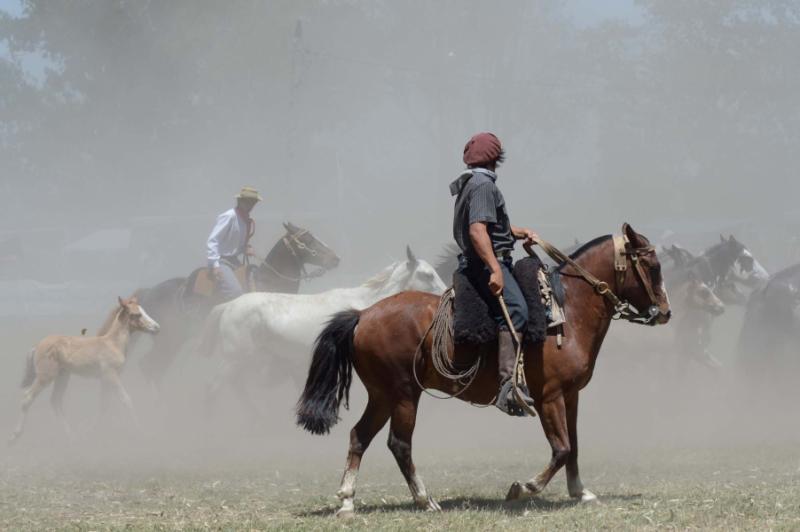 Dust, gauchos, and horses, the atmosphere which Rafael most enjoys.
