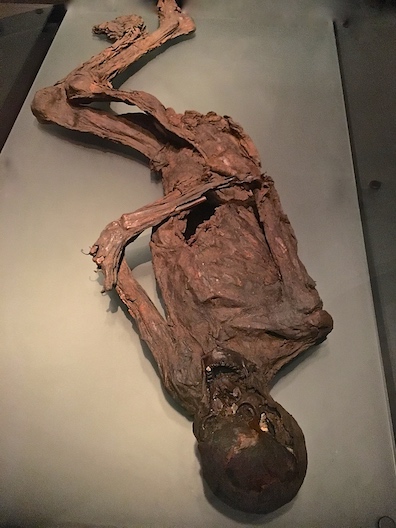 Bog Body, located in the National Museum of Ireland.