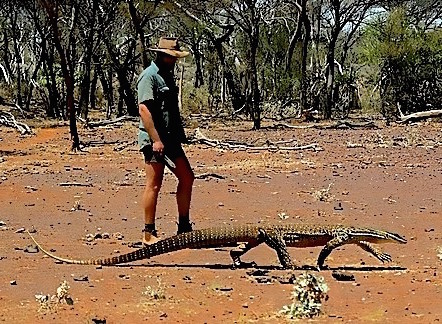 Man with a bungarra lizard, a type of goanna, which Jaxie catches and roasts for a meal.