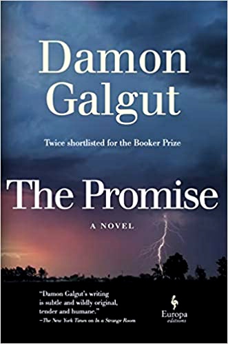 cover promise galgut
