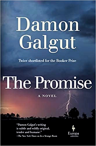 reviews of the promise by damon galgut