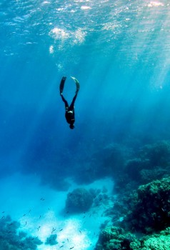 Free-diving on the Island.