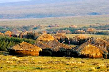 Maasai Village, with houses made of dung and grass, with thatched roofs. The village is surrounded by torn bushes to deter lions.