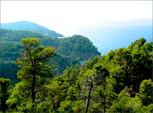 The lush hills, filled with hiding places and caves, on the north of Skiathos, where Hadoula grew up and to which she returns.